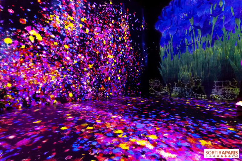 teamlab 2